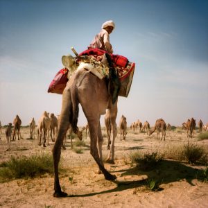 Fotografía del proyecto El tiempo detenido